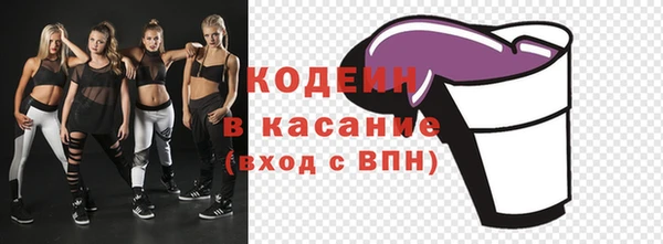 дживик Сатка