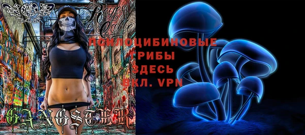 дживик Сатка