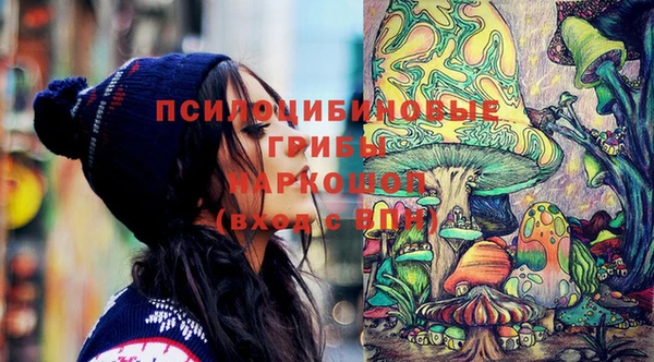 дживик Сатка