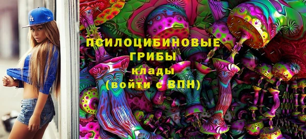 apvp Сафоново