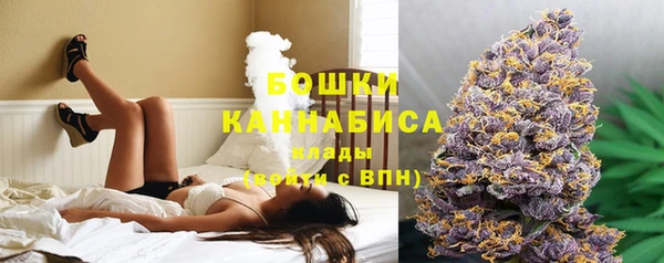 дживик Сатка