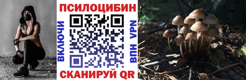 Псилоцибиновые грибы ЛСД Купить Карачев